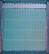 picture of FPGAs266